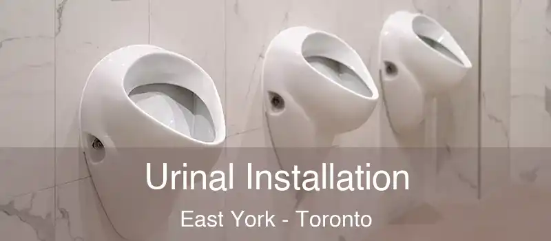  Urinal Installation East York - Toronto